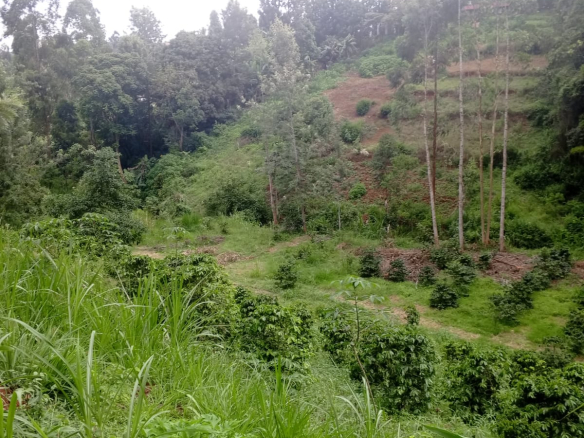 Kitisuru 2.5acres for sale