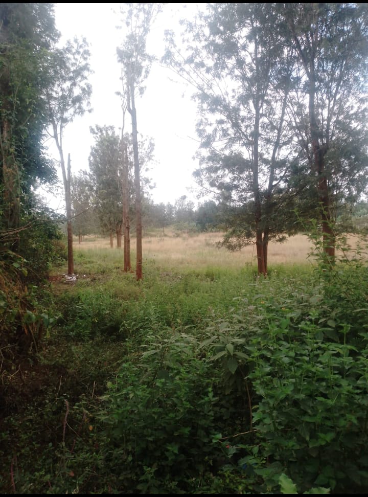 5 acres for sale in Mung’etho Juja