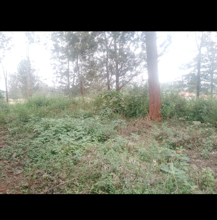 5 acres for sale in Mung’etho Juja