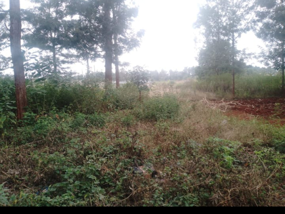 5 acres for sale in Mung’etho Juja