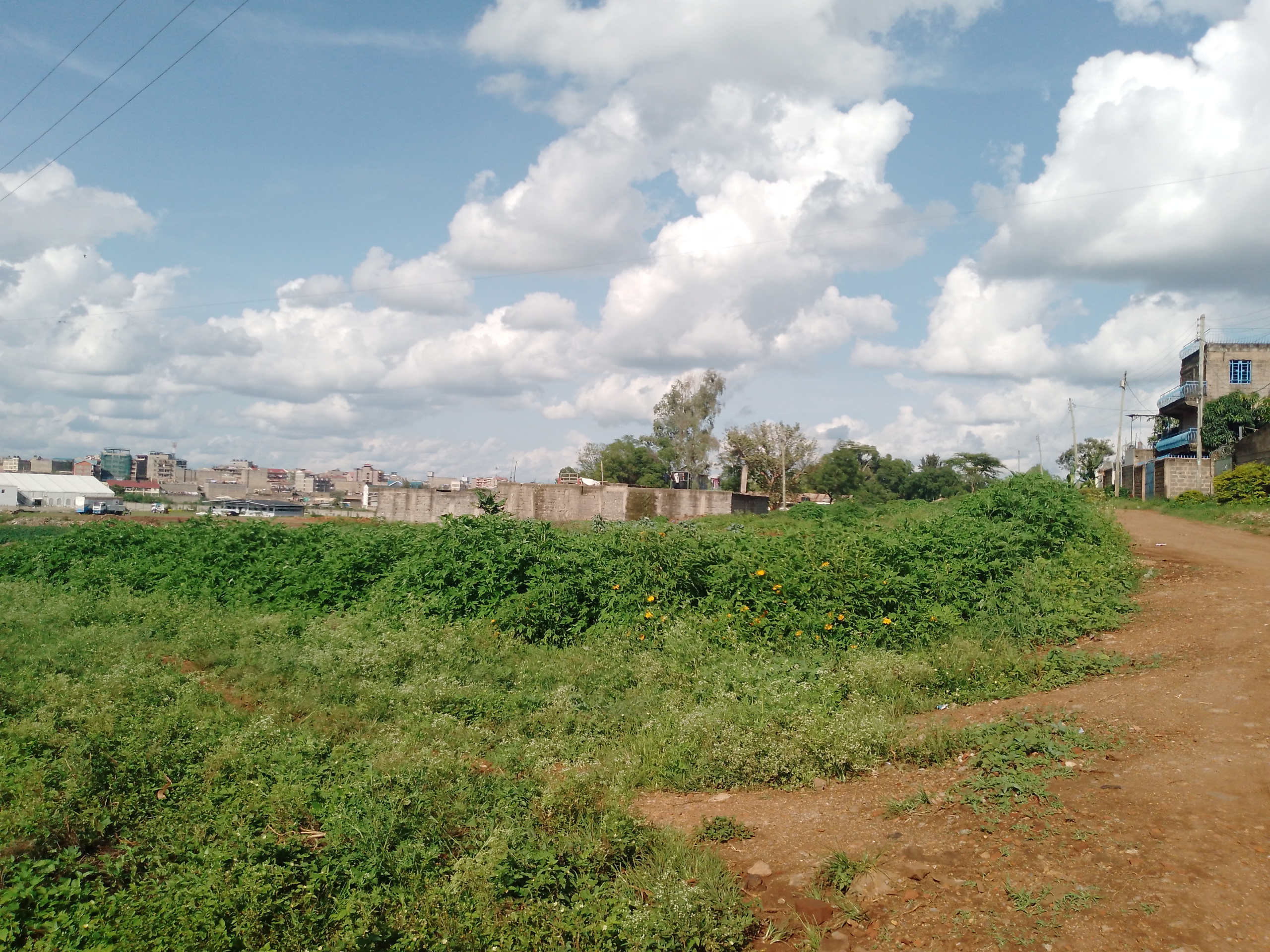 Land for sale in Claycity Githurai
