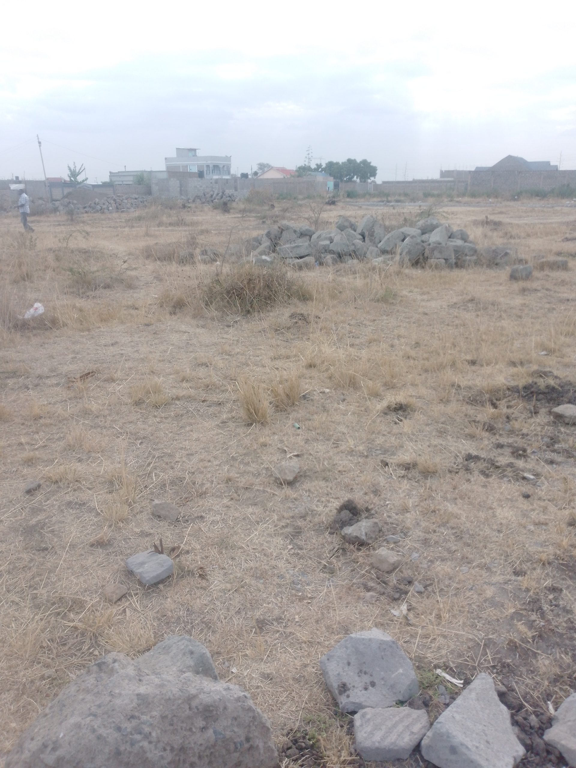 IMG_20250924_164445_641 Land for sale in Juja mastore