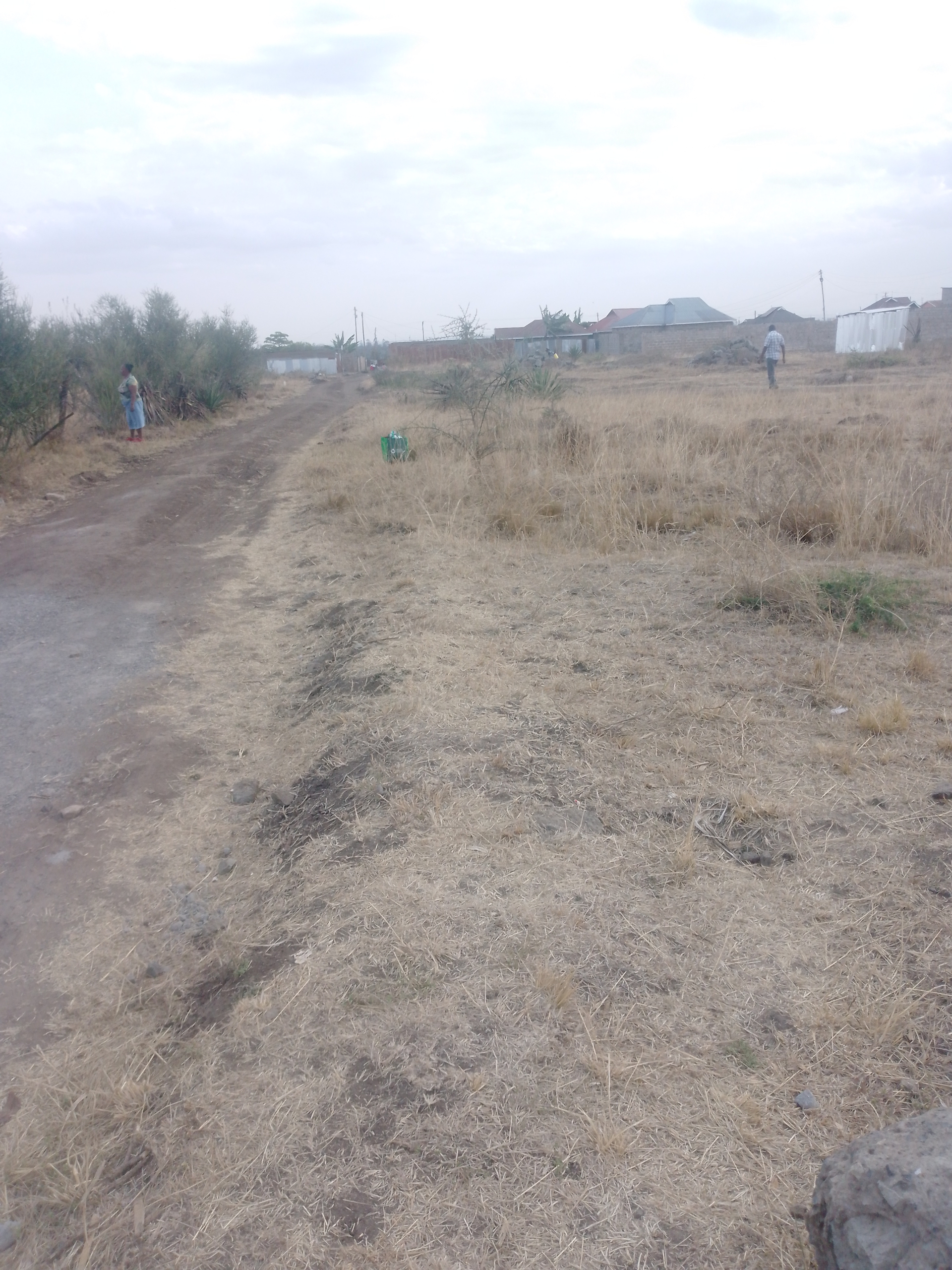 IMG_20250924_164452_111 Land for sale in Juja mastore