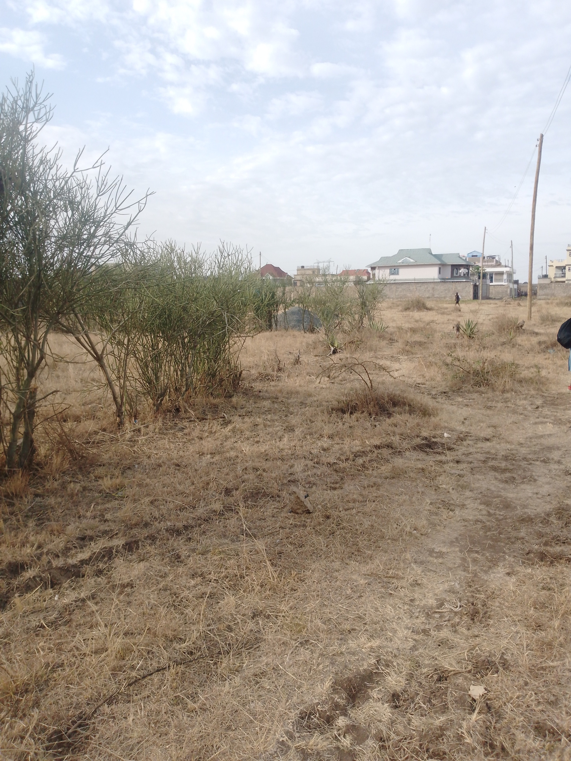 IMG_20250924_164803_940 Land for sale in Juja mastore