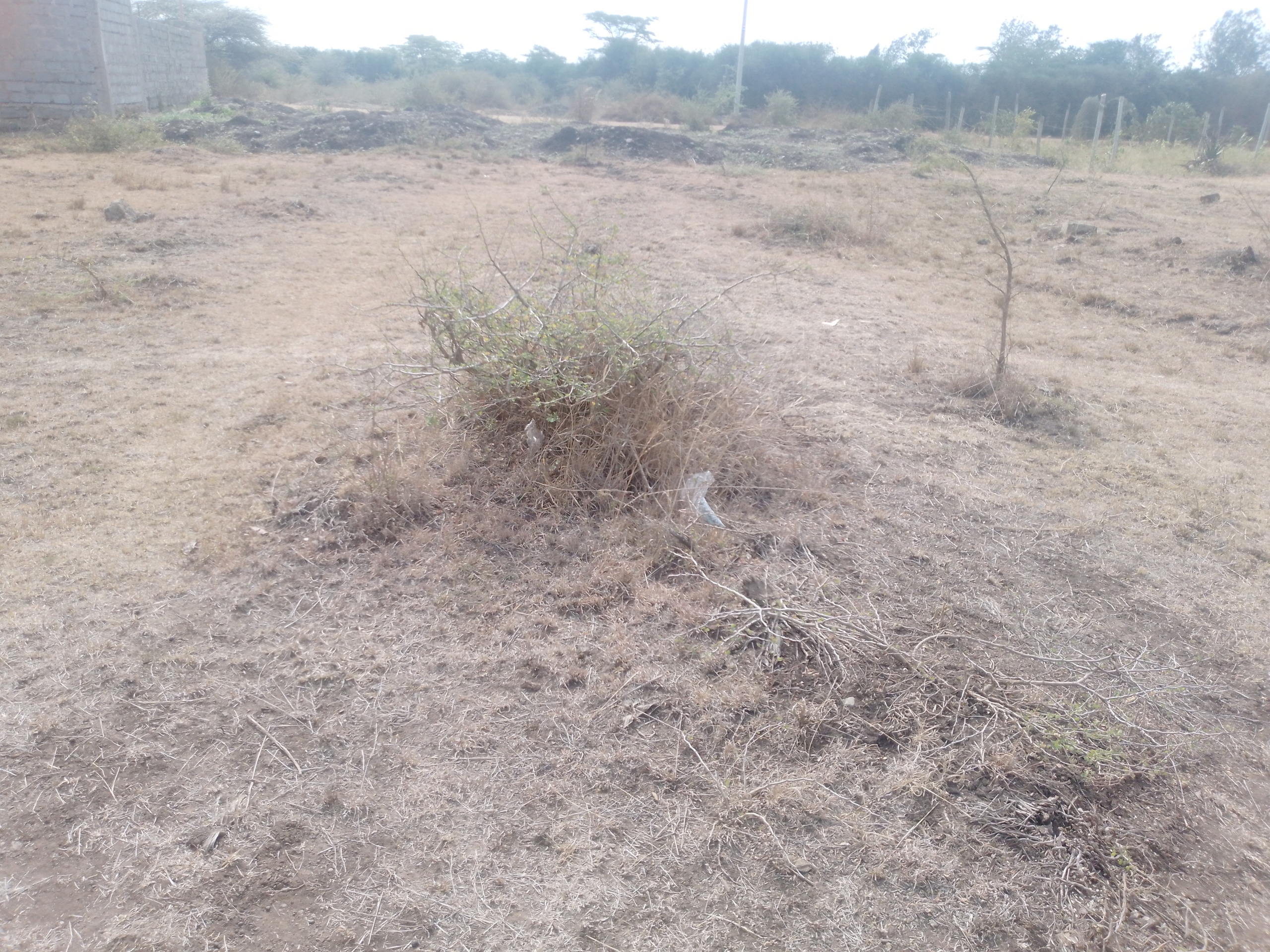 Land for sale in Juja Mastore