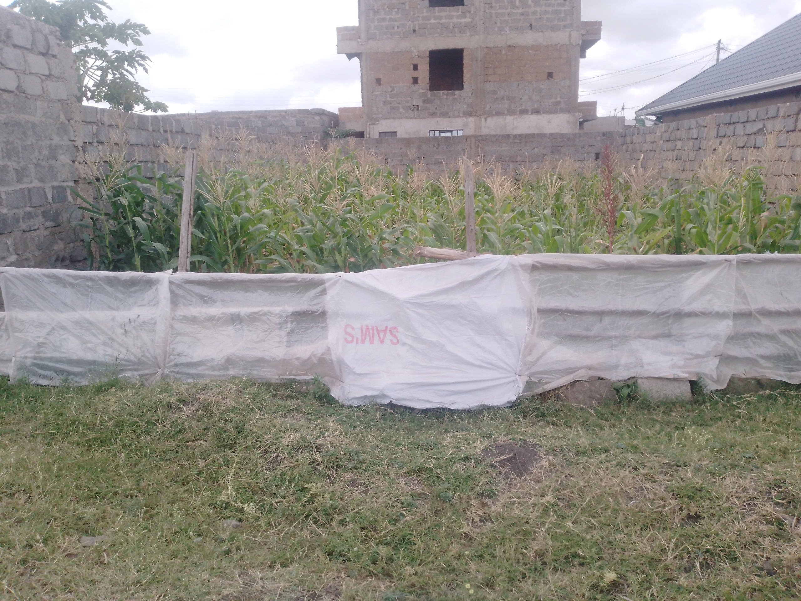Land for sale in Juja Mastore