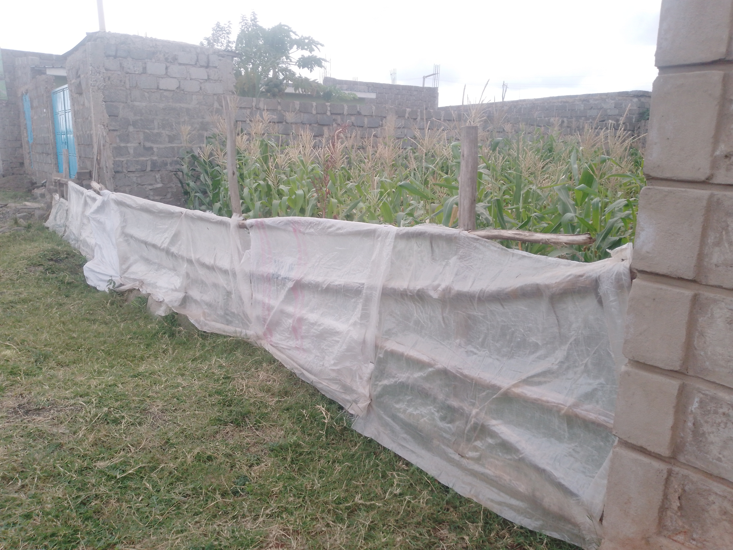 Land for sale in Juja Mastore