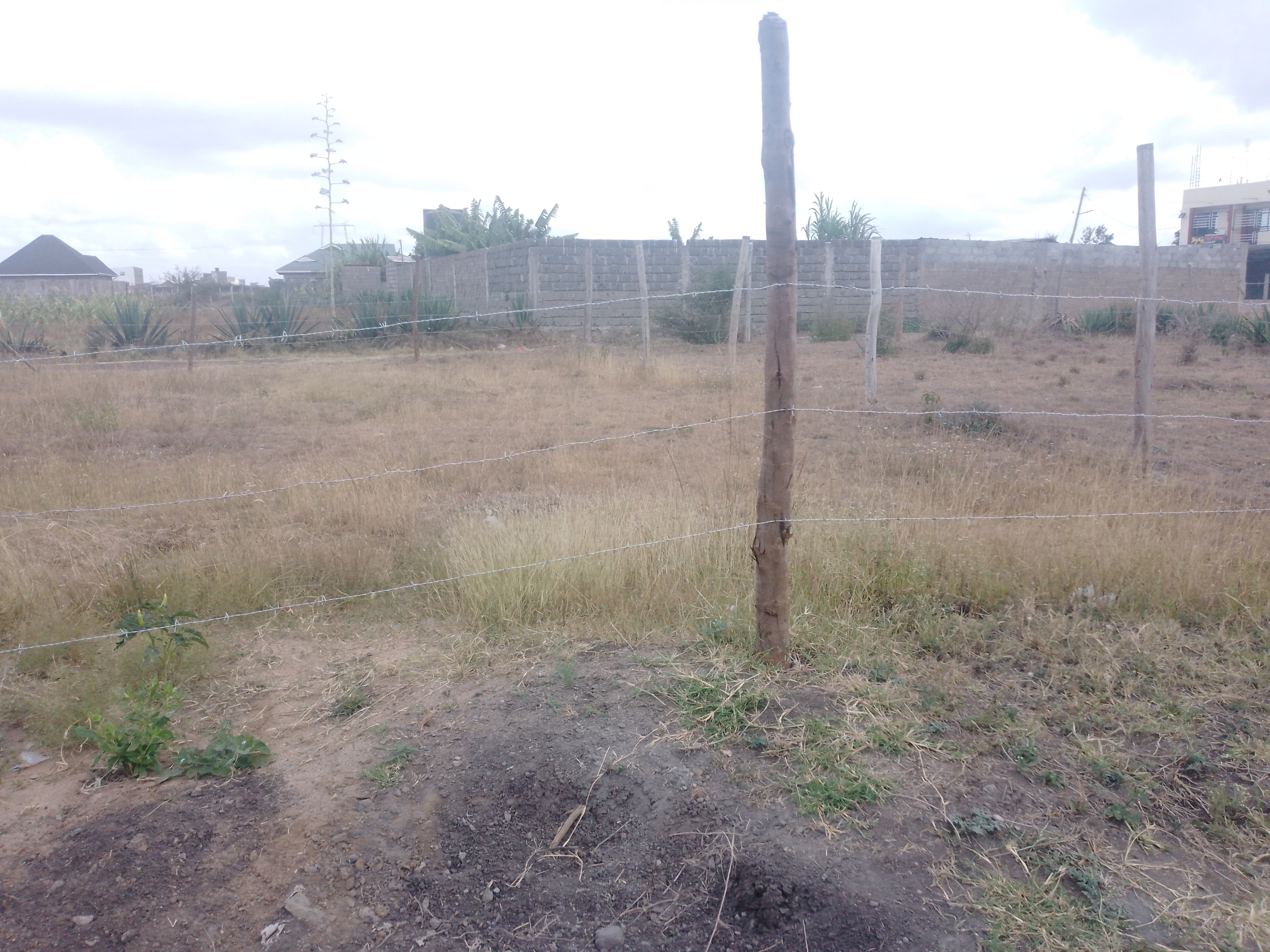 Land for sale in Juja Mastore