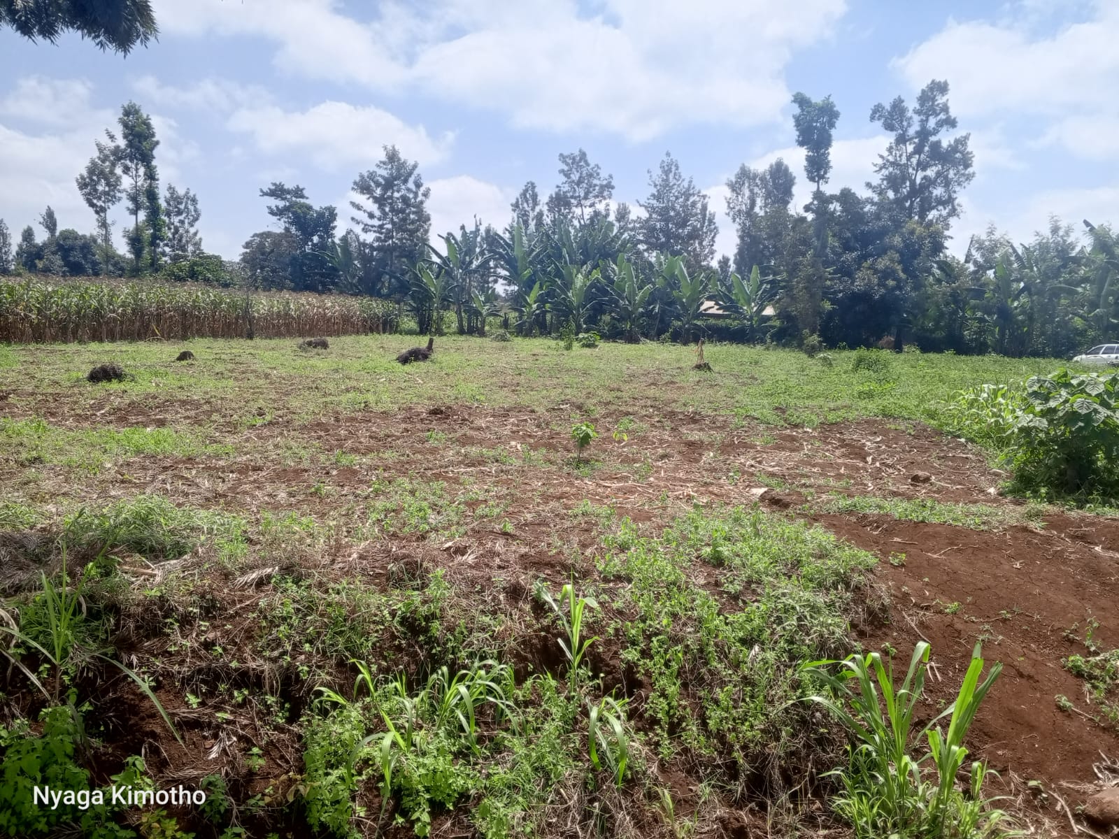 Land for Sale