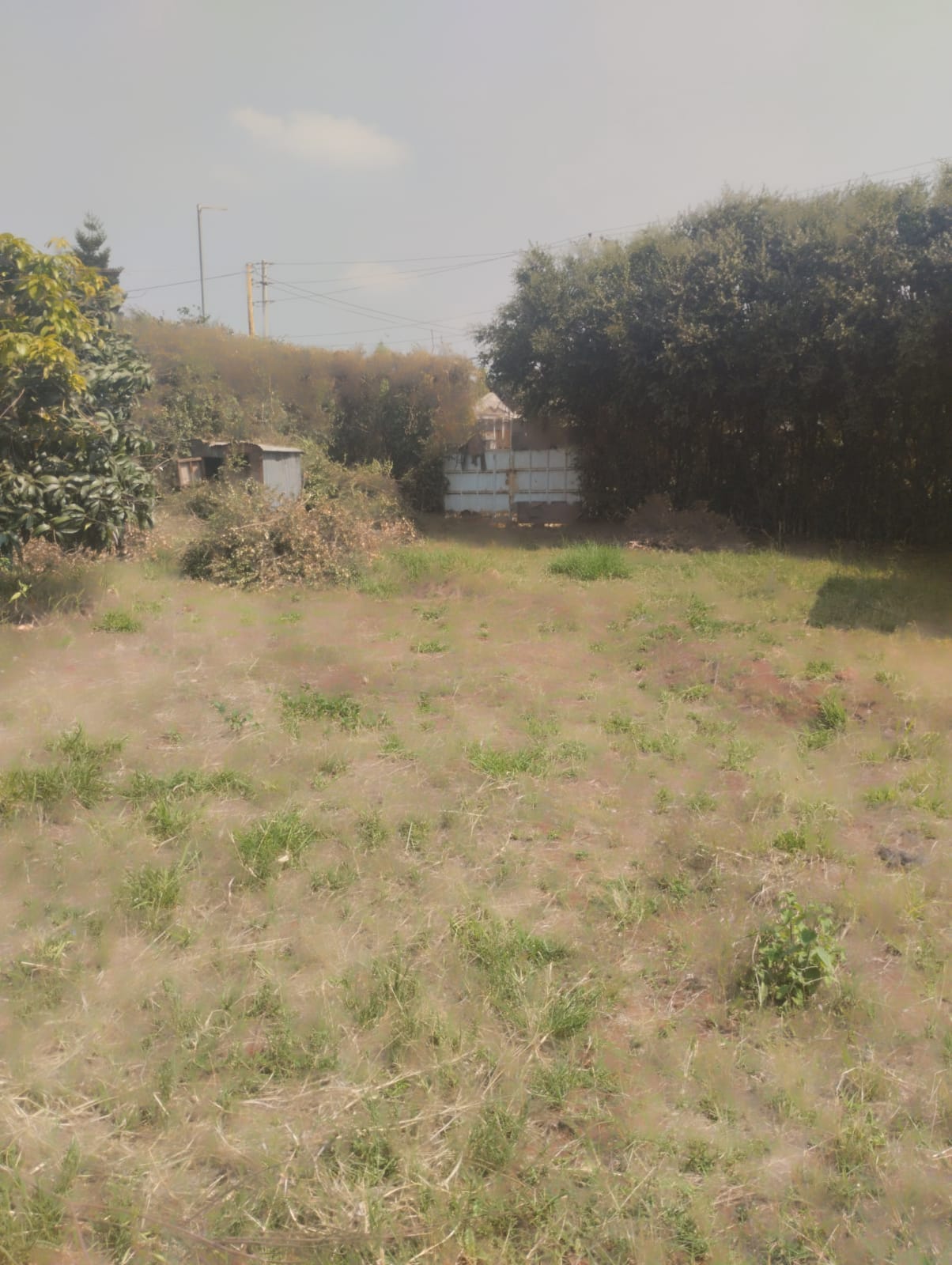 Plot for sale at THOME 5
