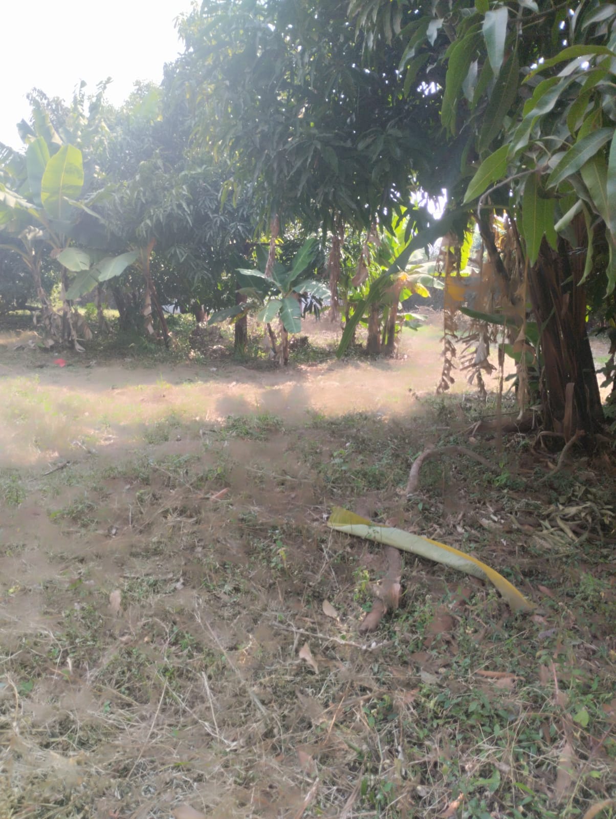 Plot for sale at THOME 5